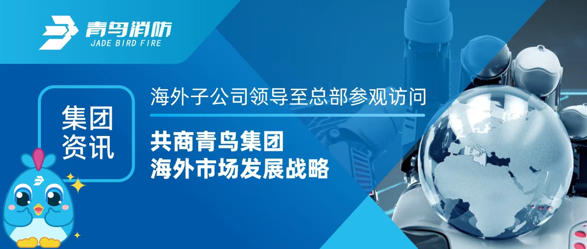 集团资讯 | 外洋子公司向导至总部旅行会见，，，，共商青鸟集团外洋市场生长战略